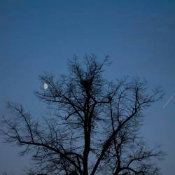 We Deserve This : Farewell We Deserve This : Farewell